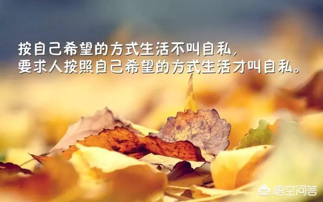 努力创业的励志的句子 奋斗创业正能量的句子_腾讯网