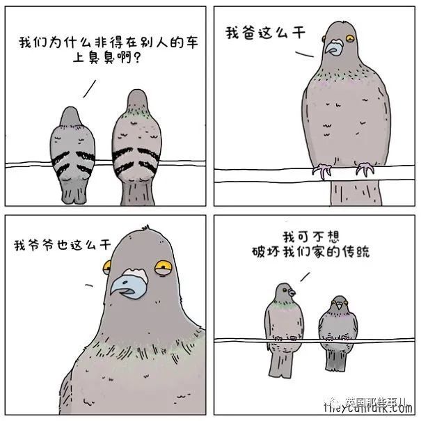 果然个个都是蠢萌沙雕蛇精病!