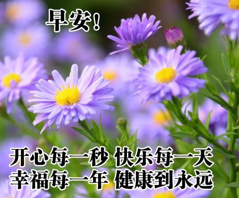 2021早上好天冷发朋友圈最暖心的问候祝福语图片冬天天冷早安文字祝福