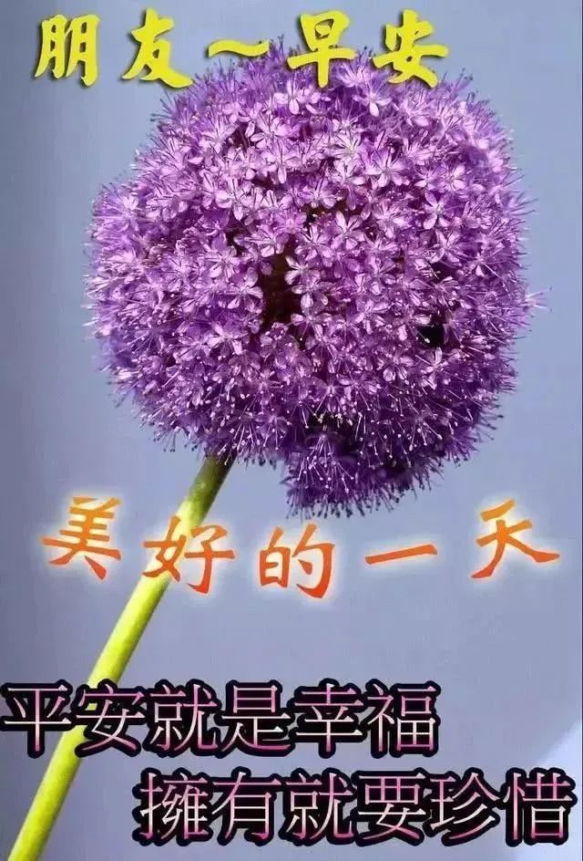 2021朋友圈新版早安图片大全,微信特别漂亮的早晨好暖心图片带字