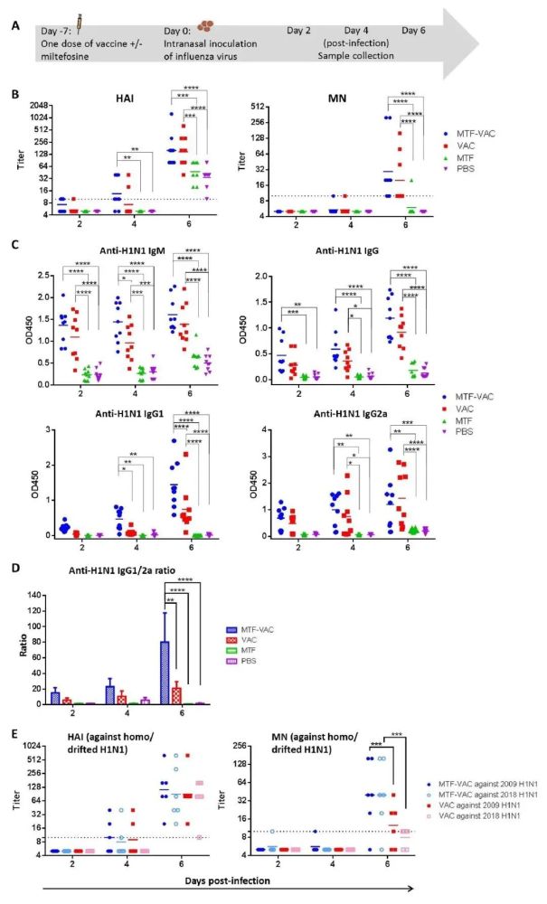 mdpi vaccines | 米替福辛作为流感疫苗佐剂的再利用