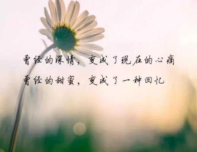 让人秒赞的经典语录,发朋友圈会火