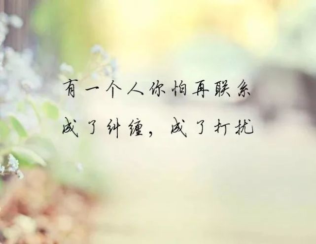 让人秒赞的经典语录,发朋友圈会火