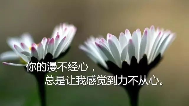 2021朋友圈很潮的一句话说说短语 句句随心,让人百读不厌