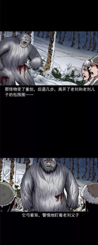 中国真实民间怪谈漫画《雪怪》,雪山上的长毛怪