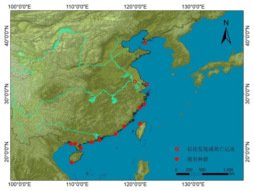 中国鲸类多样性及保护现状