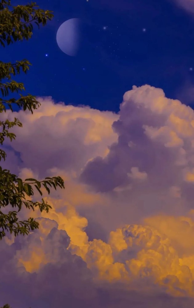 关于天气潮流的网图的简单介绍