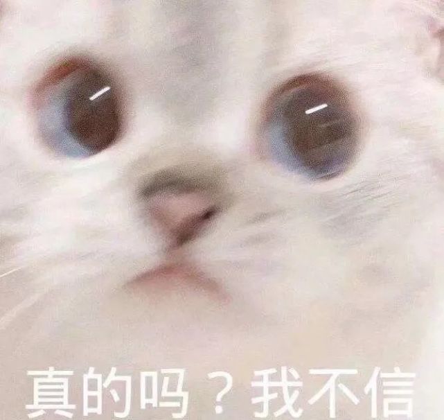 表情包:我可以