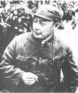她是抗战时期最美第一女将军,被蒋介石驱逐出国,最后为陈毅终身不嫁!