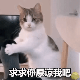 表情包:我做错了什么,我该怎么办