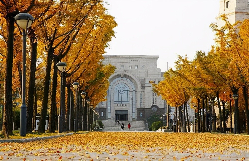 我国有哪些知名的中医药大学?