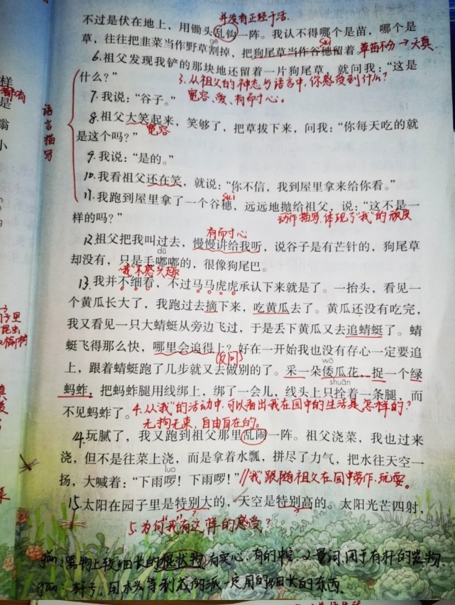 五年级语文下册第二课《祖父的园子》课文笔记,预习的好帮手