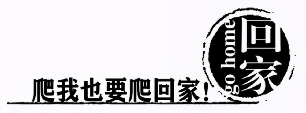 我想回家,不想"就地过年,爬也要爬回家过年"