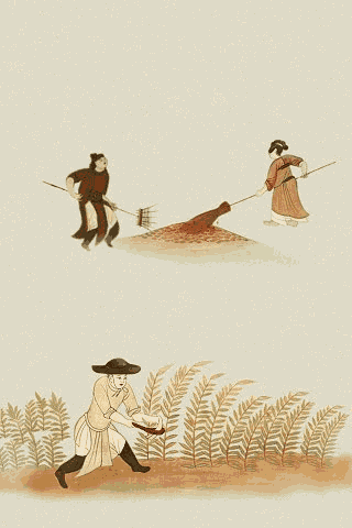 敦煌|壁画里的烟火气