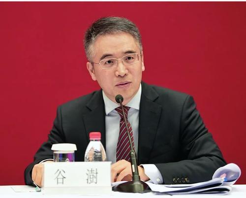 农业银行因泄露信息等再被处罚:大额罚单不断,谷澍将任董事长