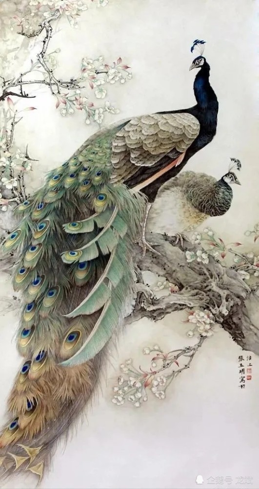 【张玉明国画工笔孔雀】美图欣赏