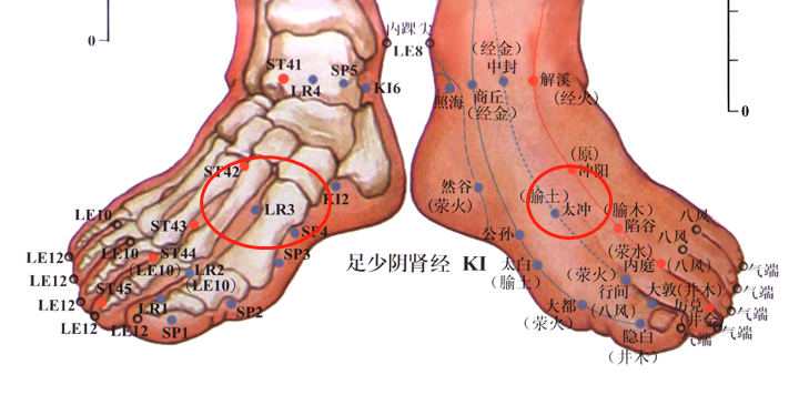 8,太冲穴 太冲穴位于足背侧,当第1跖骨间隙的后方凹陷处 (第一,二趾