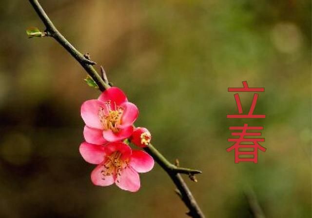 俗语"立春在腊月,瓮里米生虫",啥意思