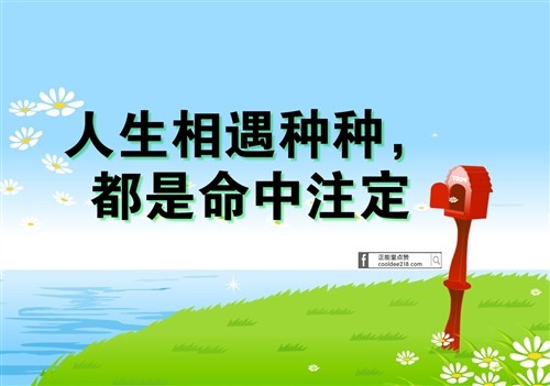 关于命是天注定的句子 一切都是命中注定句子