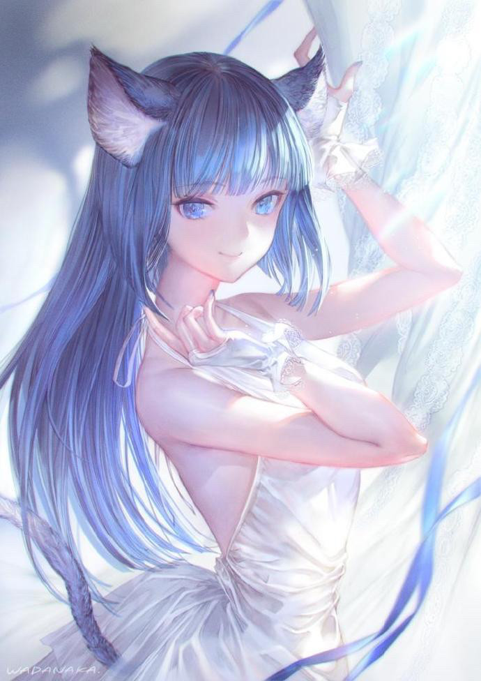 人物插画|一组猫耳少女,超级萌～壁纸头像