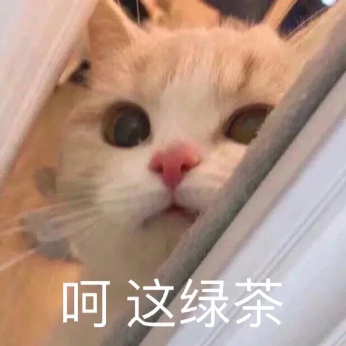 表情包丨茶里茶气表情包走绿茶的路让绿茶无聊可走