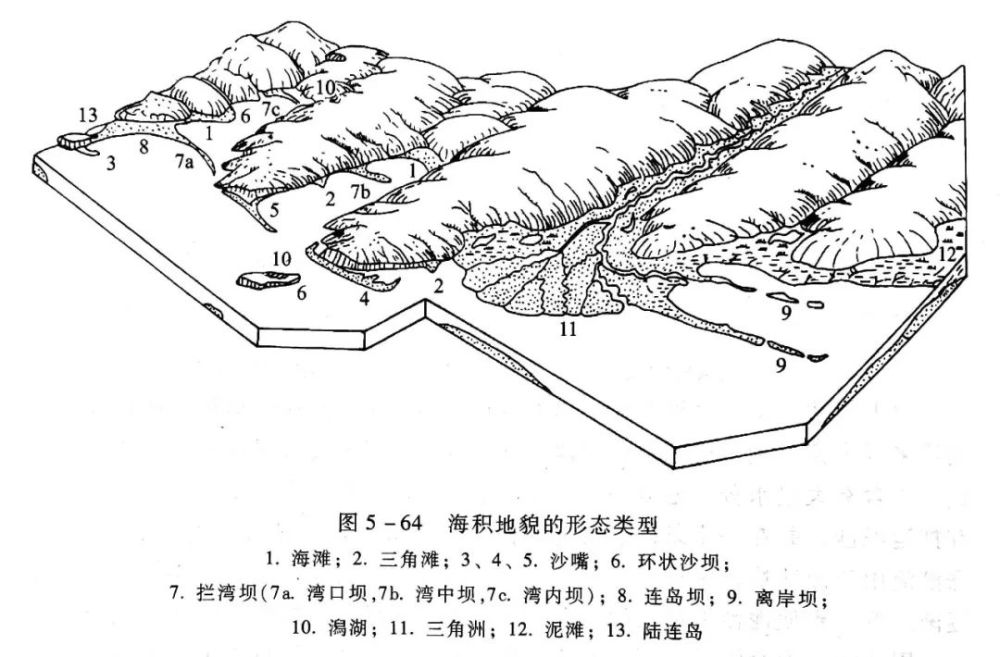 常考的海岸地貌有哪些?