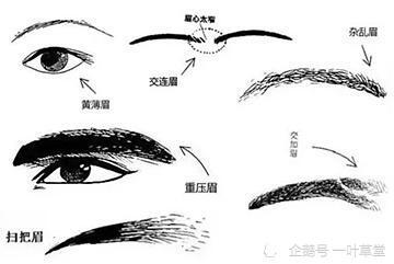 教你如何去从眉毛去看面相学|眉毛|面相|风水学|黄薄眉