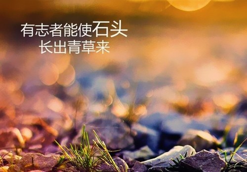 致自己一段话霸气高冷的话 2020很潮很独特的霸气句子