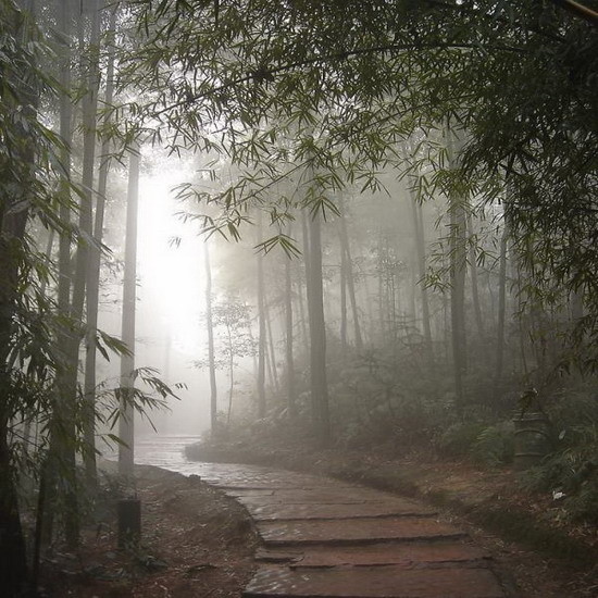 秋雨的句子短句唯美诗句 写秋雨的唯美的句子