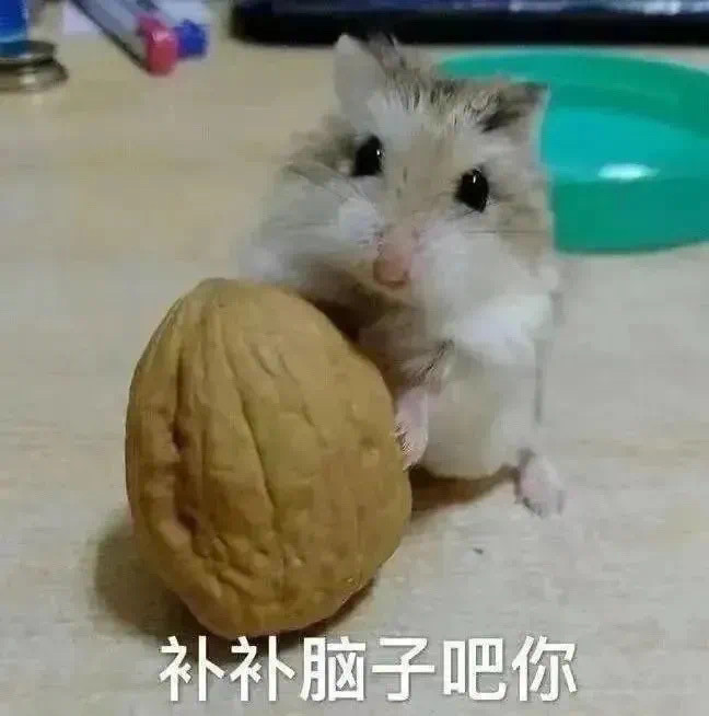 表情包你长脑袋只是为了让自己看起来高点吗