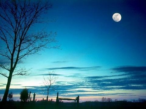月光湖水的唯美句子 月光的唯美的诗句 月光优美