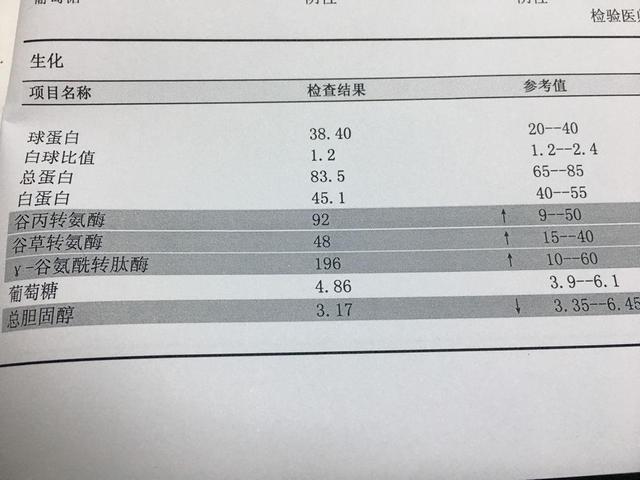 体检报告单中"转氨酶"偏高,意味着什么?需要引起重视