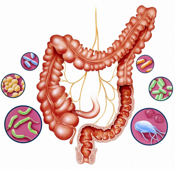 做好3件事,促进肠胃蠕动,排便更