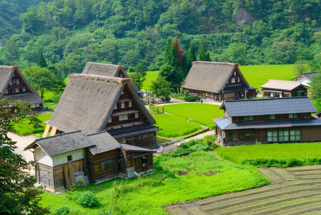 看看日本真实的农村,再看中国的农村,看完才知道差距有多大