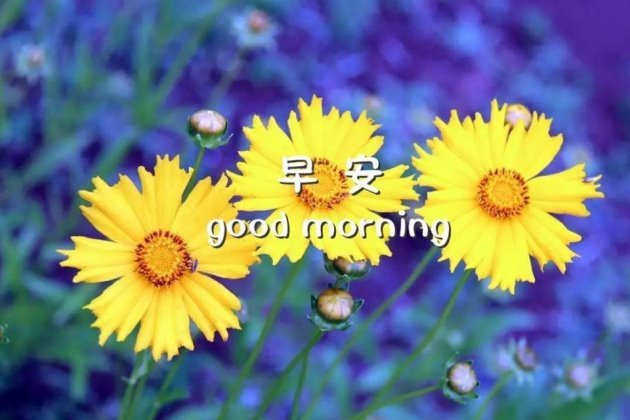 适合发朋友圈积极向上的句子 致自己一句话正能量