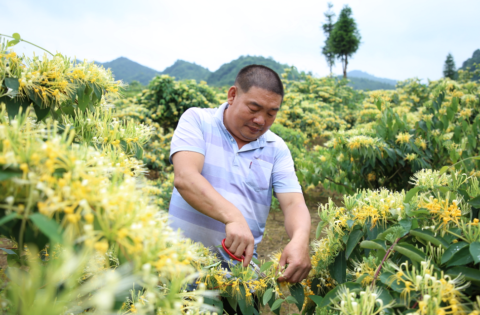 我的脱贫故事胡家强一位贫困汉的幸福转身