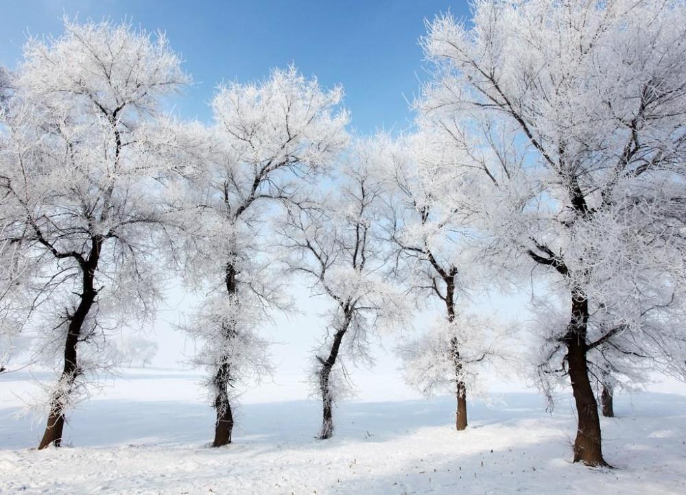 吉林冬季很火热的景点,拥有"树挂"景象,属于国内四大