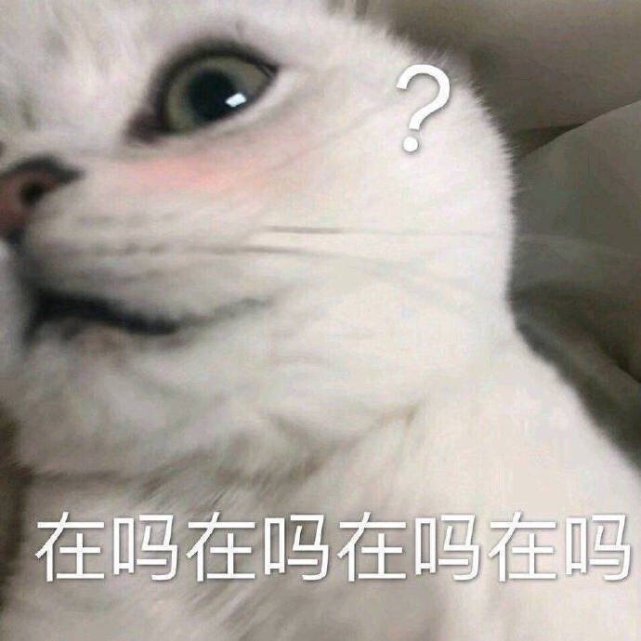 萌宠表情包:啊,舒服!