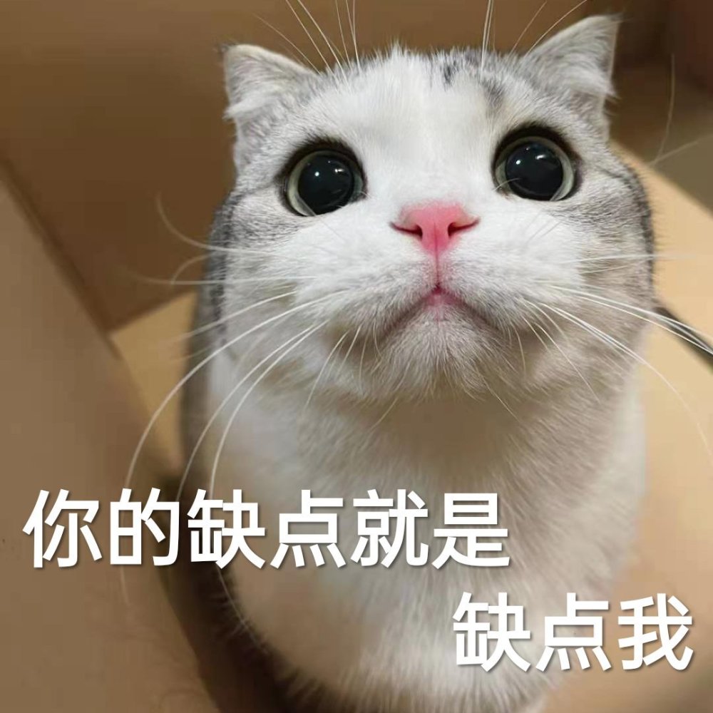 萌宠表情包:你知道你的缺点是什么吗?缺点我!