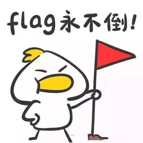 寒假特辑|1月份都过去啦,你的2021年flag立了吗?