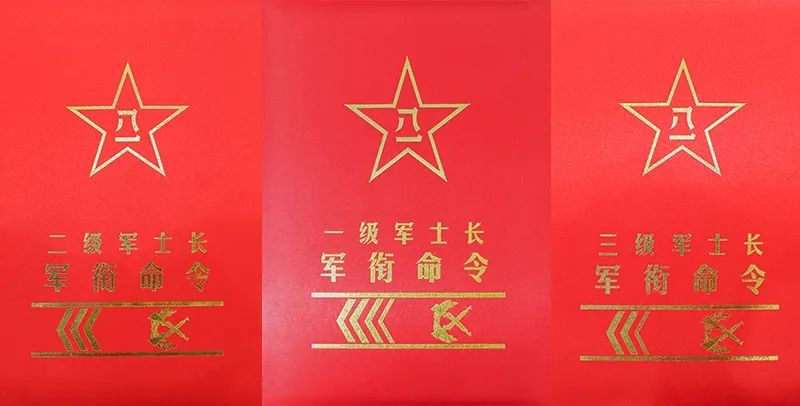 足壮军威东南沿海一线部队有这样的军士真正的兵王列阵50余名士官人才
