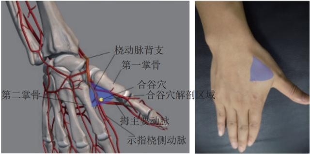 经远端桡动脉行冠状动脉介入诊疗六大要点!中国专家共识