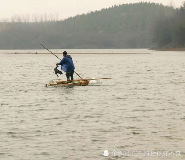 漫流河畔传说河套汀大渡子