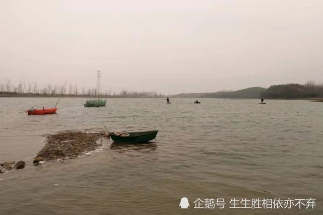 漫流河畔传说河套汀大渡子