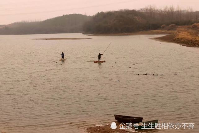 漫流河畔传说河套汀大渡子
