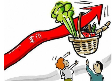 新靖江菜价上涨靖江市民直呼吃不起原因到底是啥