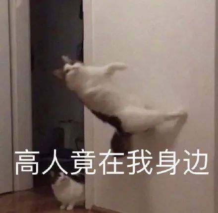 表情包:暗中观察