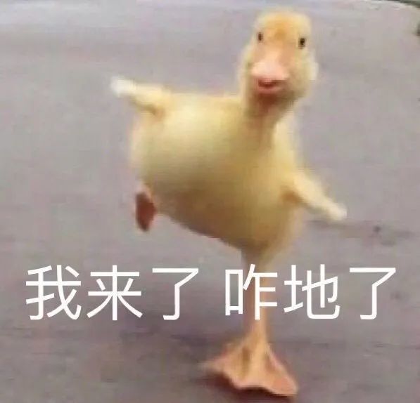 表情包:我很好,反正都是偶尔被需要