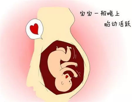 孕晚期怎么数胎动