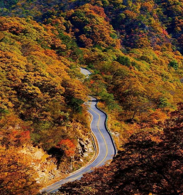 安徽被忽视的一处赏秋胜地,内有一条盘山路,是自驾游的好去处